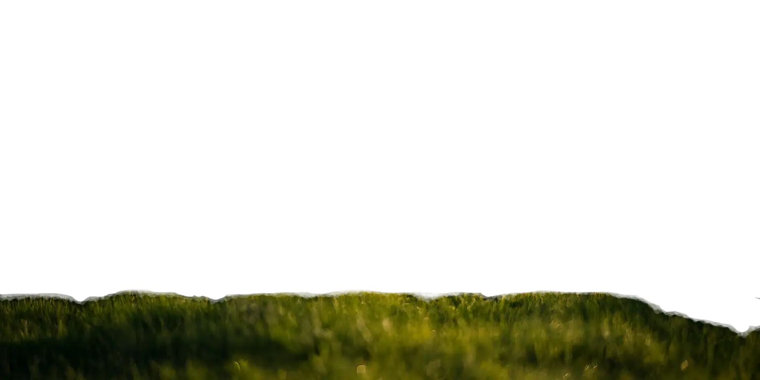Animal Feed 1