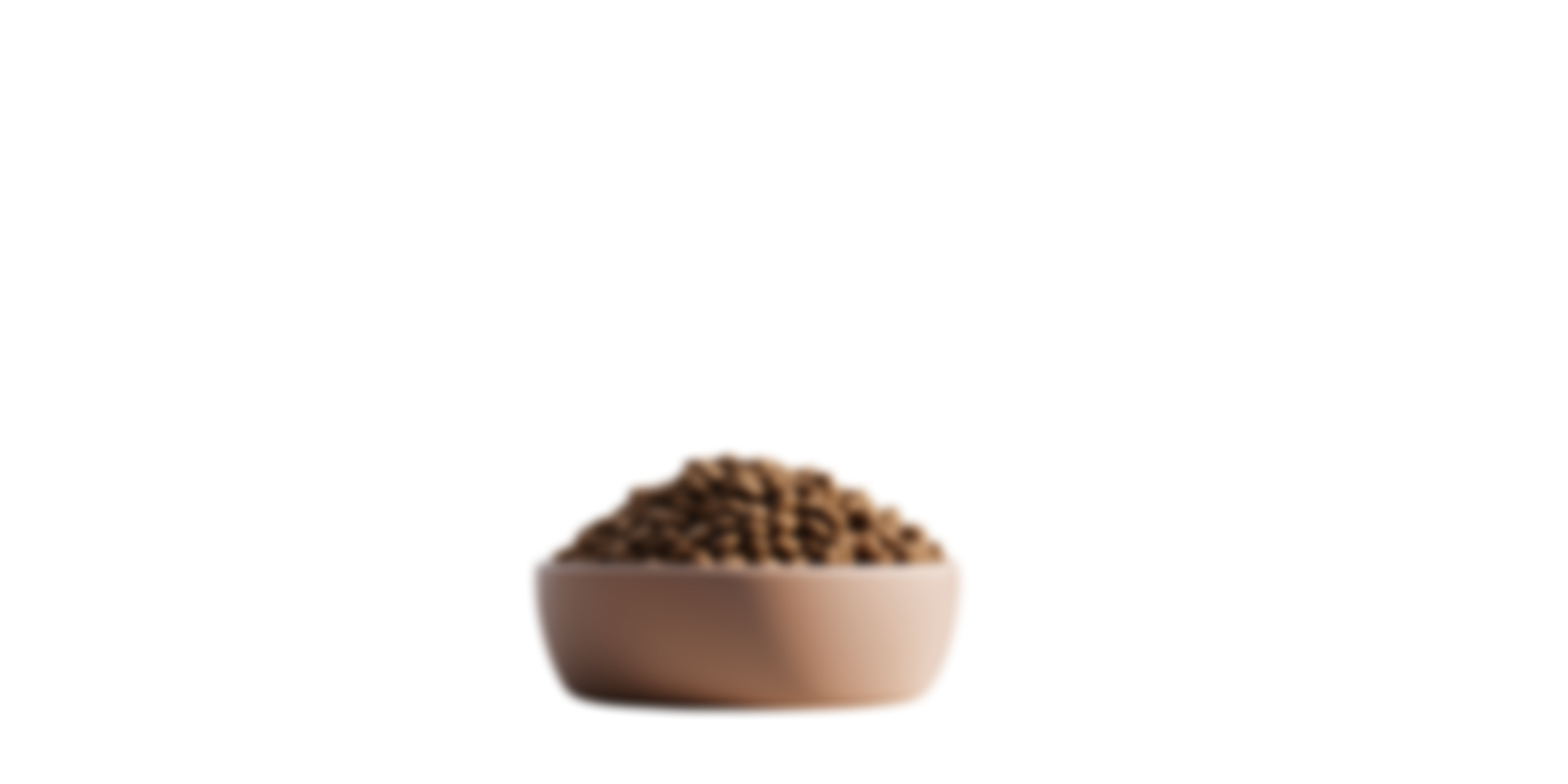 Pet Food 2